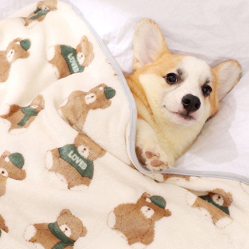 Super Soft Pet Blanket